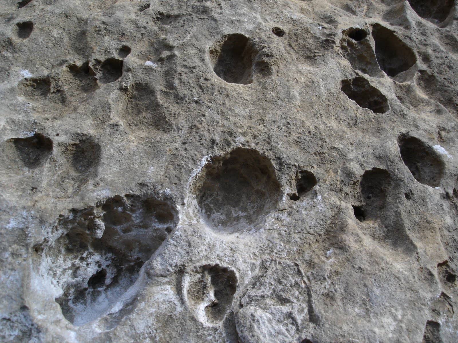 textura roca escalada Margalef