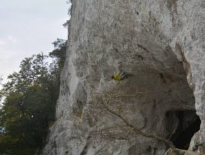 Mikel Linacisoro encadena ‘4×4’ 8c+/9a en Atzeko Koba