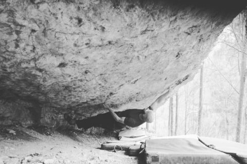 Toni Lamprecht habla sobre ‘Bokassa’s Fridge-Assassin, Monkey and Man’