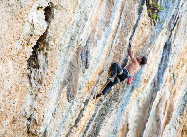 Jonathan Siegrist en La Planta de Shiva Jonathan Siegrist en La Planta de Shiva