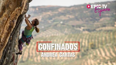 Confinados: Andrea Cartas