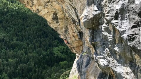 Anak Verhoeven encadena ‘La Prophétie Des Grenouilles’ 9a