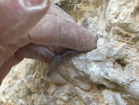 Aparecen presas modificadas en ‘Víctimas Pérez’ y ‘Gancho Perfecto’, en Margalef