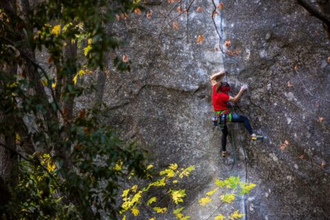 Barbara Zangerl encadena ‘Magic Line’ 5.14c (8c+), en Yosemite